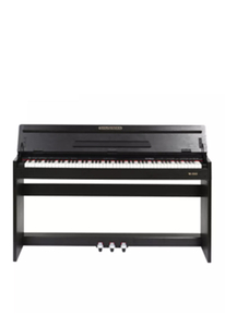 China Digital Piano 88 gewichtete Hammermechanik-Musiktastatur (DP750)