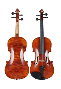 Fortgeschrittene Violine für Schüler bis zur Mittelstufe (VH100T)