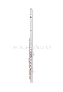  Professionelle vernickelte Flöte, hergestellt in China (FL-G400NE)