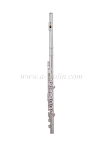 Standard-Flöte mit Lippenplatte aus massivem Silber, hochwertig (FL-H466SE)