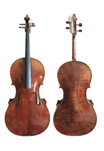 Professionelles Cello aus europäischem Material der Güteklasse A (CH600EM)