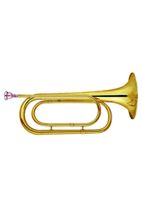 Hochwertiges bE Key Bugle Horn mit Premium-Gehäuse (BUH-G112G)