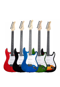 All Solid Customizer E-Gitarre voller Größe Guitarra electrica (EGS111)